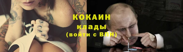 дживик Алзамай
