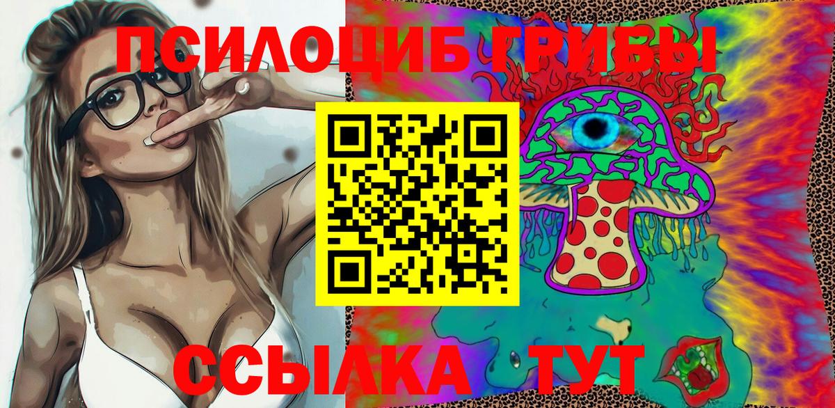 Галлюциногенные грибы мицелий Апатиты