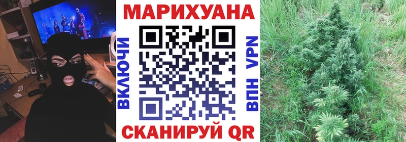 Каннабис индика  где купить наркотик  Апатиты 