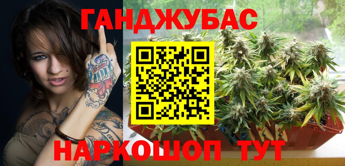 Конопля сатива Апатиты